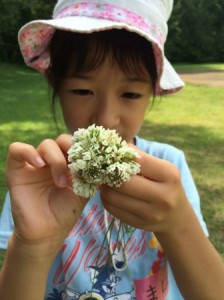 福島の子ども保養プロジェクト・杉並（2015年の記録）