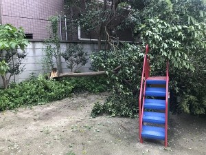 日本共産党_杉並区議会議員_富田たく_区政報告ニュース_188_img002 日本共産党_杉並区議会議員_富田たく_区政報告ニュース_188_img002