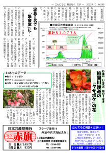 日本共産党_杉並区議会議員_富田たく_区政報告ニュース_239_2