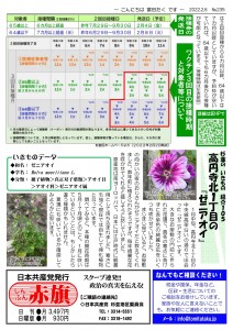 日本共産党_杉並区議会議員_富田たく_区政報告ニュース_235_2